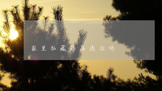 家里私藏药品违法吗 家里私藏药品违法吗
