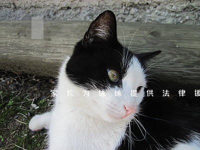 家长为妹妹提供法律援助 家长为妹妹提供法律援助