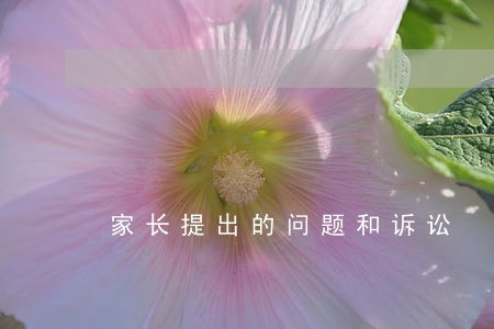家长提出的问题和诉讼 家长提出的问题和诉讼