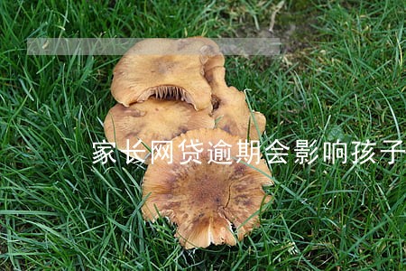 家长网贷逾期会影响孩子吗 家长网贷逾期会影响孩子吗