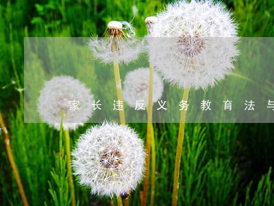 家长违反义务教育法与法院审判 家长违反义务教育法与法院审判