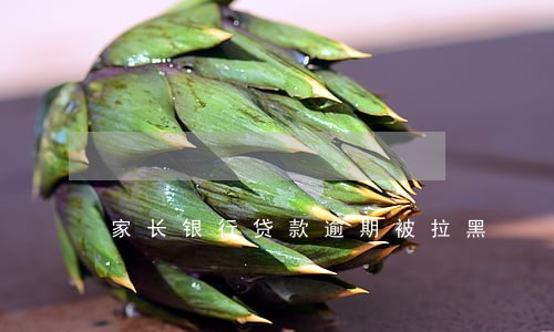 家长银行贷款逾期被拉黑 家长银行贷款逾期被拉黑
