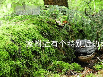 家附近有个特别近的司法鉴定 家附近有个特别近的司法鉴定