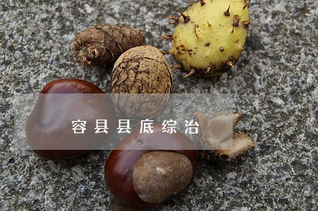 容县县底综治 容县县底综治