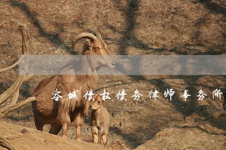 容城债权债务律师事务所 容城债权债务律师事务所