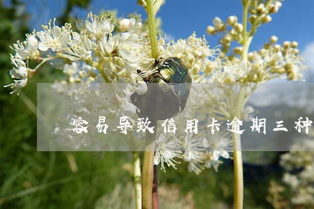 容易导致信用卡逾期三种行为 容易导致信用卡逾期三种行为