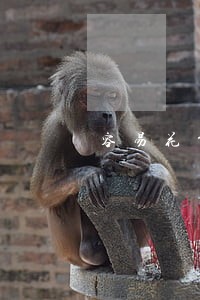 容易花贷款逾期怎么处理 容易花贷款逾期怎么处理