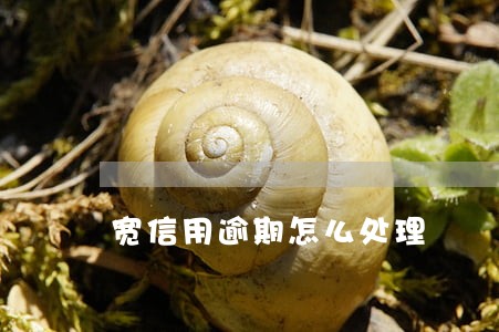 宽信用逾期怎么处理 宽信用逾期怎么处理