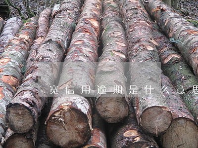 宽信用逾期是什么意思 宽信用逾期是什么意思
