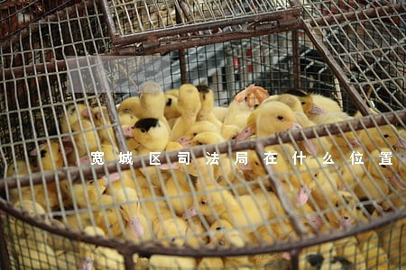 宽城区司法局在什么位置