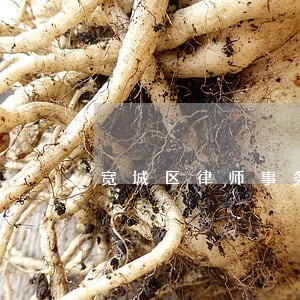 宽城区律师事务所有哪几家 宽城区律师事务所有哪几家