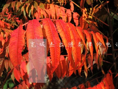 宽城杰出债务律师电话 宽城杰出债务律师电话