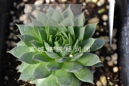 宽城法院杨润国 宽城法院杨润国