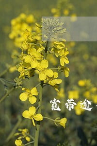宽带逾期2个月后才去销户 宽带逾期2个月后才去销户
