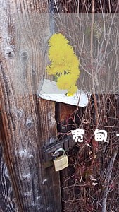 宽甸一日游能去哪玩 宽甸一日游能去哪玩