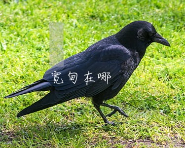 宽甸在哪 宽甸在哪