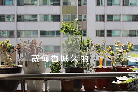 宽甸香城久丽 宽甸香城久丽