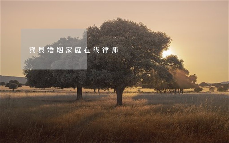 宾县婚姻家庭在线律师