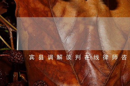 宾县调解谈判在线律师咨询 宾县调解谈判在线律师咨询