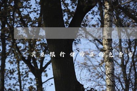 宾县银行律师在线免费咨询 宾县银行律师在线免费咨询