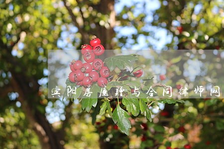 宾阳房屋赠与合同律师网 宾阳房屋赠与合同律师网