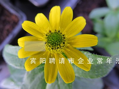 宾阳聘请市企业常年法律顾问律师