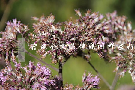 宿城企业法律顾问哪家好 宿城企业法律顾问哪家好