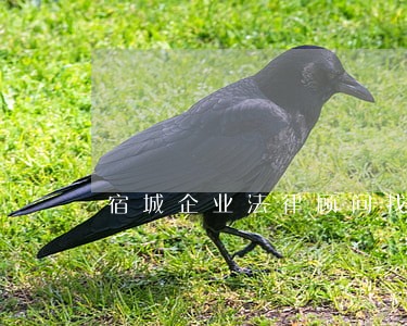 宿城企业法律顾问找哪家 宿城企业法律顾问找哪家