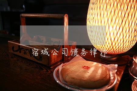 宿城公司债务律师
