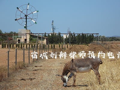 宿城刑辩律师预约电话 宿城刑辩律师预约电话