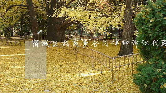 宿城区找商事合同律师诉讼代理 宿城区找商事合同律师诉讼代理