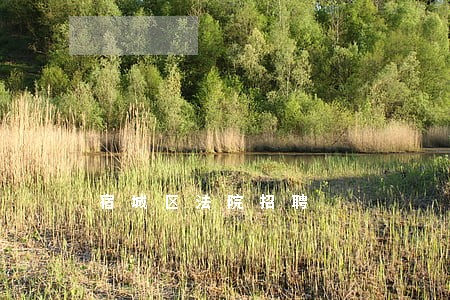 宿城区法院招聘