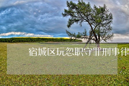 宿城区玩忽职守罪刑事律师 宿城区玩忽职守罪刑事律师