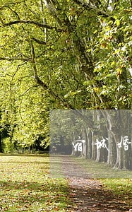 宿城婚姻债务律师费用多少 宿城婚姻债务律师费用多少