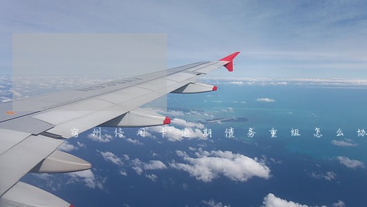 宿州信用卡逾期债务重组怎么协商