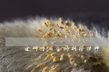 宿州借用合同纠纷律师 宿州借用合同纠纷律师
