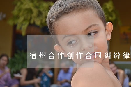 宿州合作创作合同纠纷律师价格 宿州合作创作合同纠纷律师价格