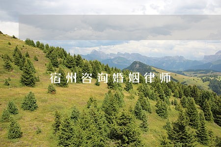 宿州咨询婚姻律师 宿州咨询婚姻律师
