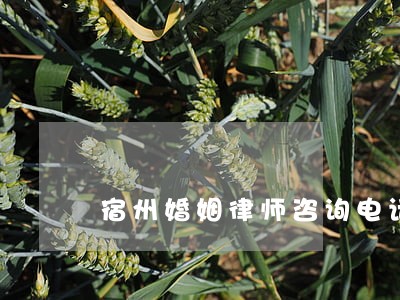 宿州婚姻律师咨询电话 宿州婚姻律师咨询电话