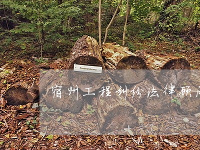 宿州工程纠纷法律顾问 宿州工程纠纷法律顾问