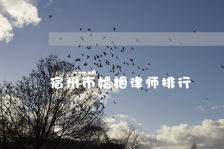 宿州市婚姻律师排行 宿州市婚姻律师排行