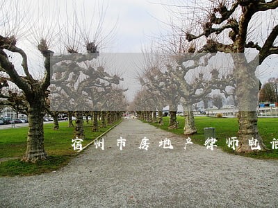 宿州市房地产律师电话