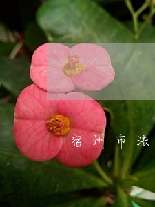 宿州市法律援助中心 宿州市法律援助中心