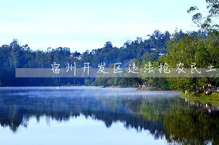 宿州开发区违法抢农民土地 宿州开发区违法抢农民土地