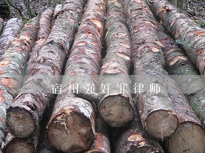 宿州强奸罪律师