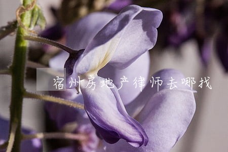 宿州房地产律师去哪找