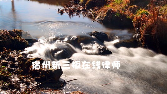 宿州新三板在线律师 宿州新三板在线律师