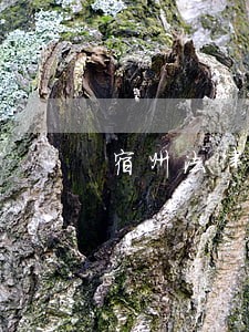 宿州法律咨询有限公司 宿州法律咨询有限公司