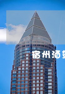宿州酒驾律师