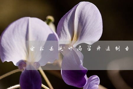 宿松县统计局召开法制专题学习会